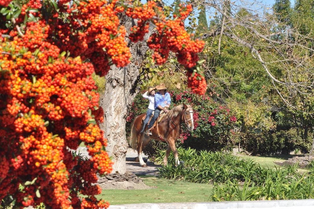 Hotel Hacienda Cantalagua Golf Contepec Exteriér fotografie